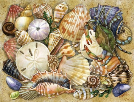 Пазл (Puzzle) "Морские раковины" - 500 деталей  