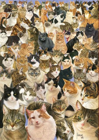 Пазл (Puzzle) "Сто кошек" - 1000 деталей  